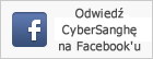 buddyzm - facebook - cybersangha