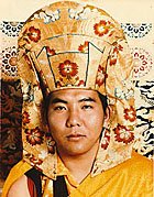 Dziamgon Kongtrul Rinpocze